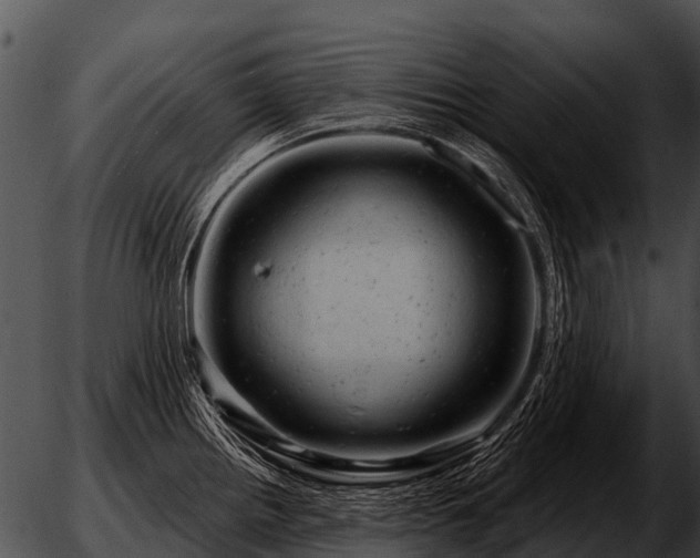 X0000051861242200507012332