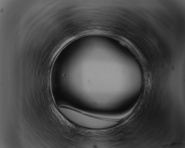 X0000051861244200507012332