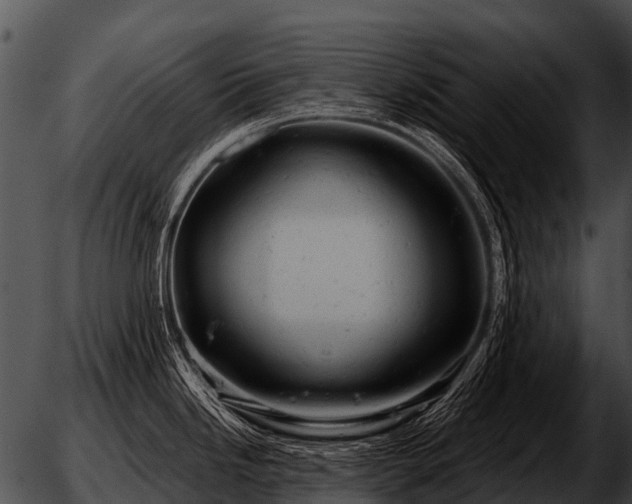 X0000051861246200507012332