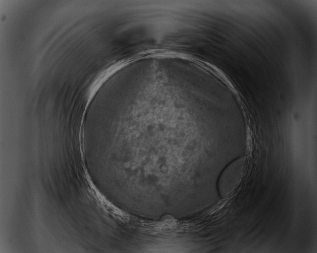 X0000051861247200507012332