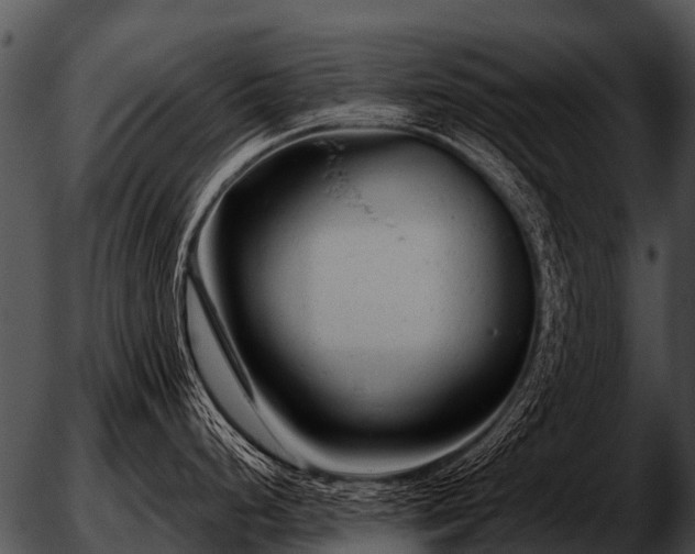 X0000051861248200507012332