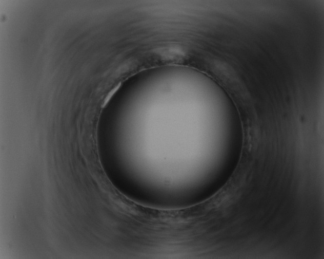 X0000051861249200507012332