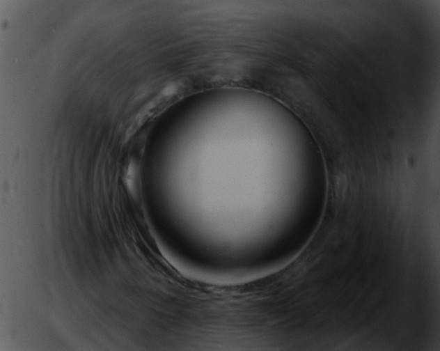 X0000051861250200507012332