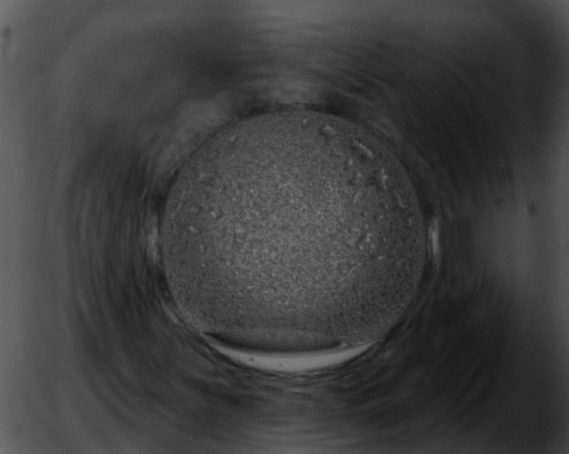 X0000051861251200507012332