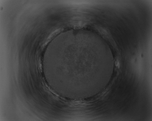 X0000051861252200507012332