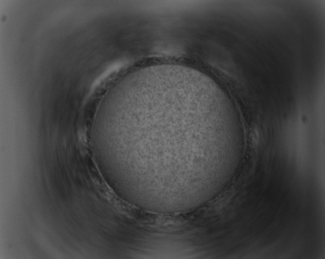 X0000051861254200507012332