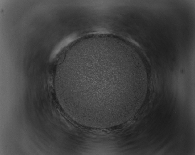 X0000051861255200507012332