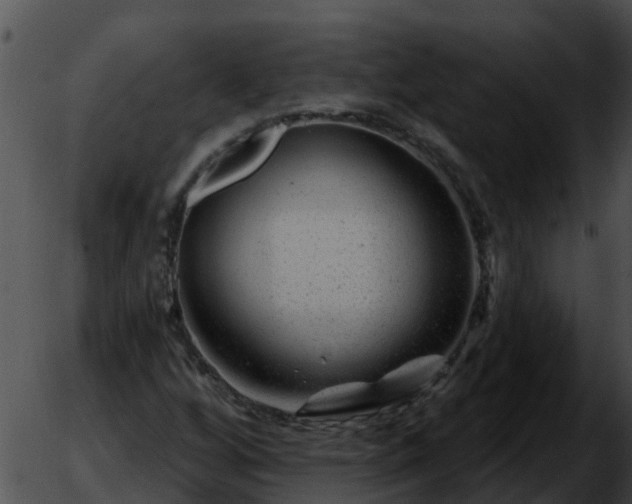 X0000051861256200507012332