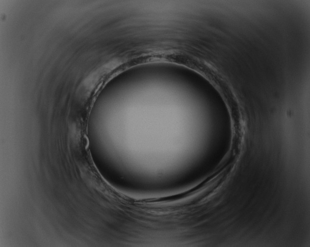 X0000051861257200507012332