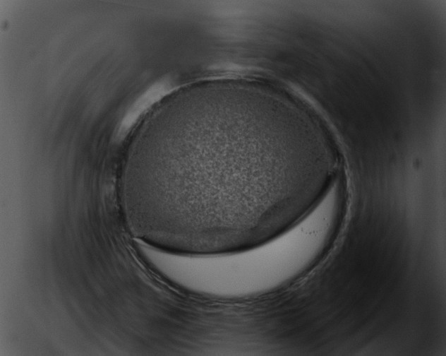 X0000051861259200507012332