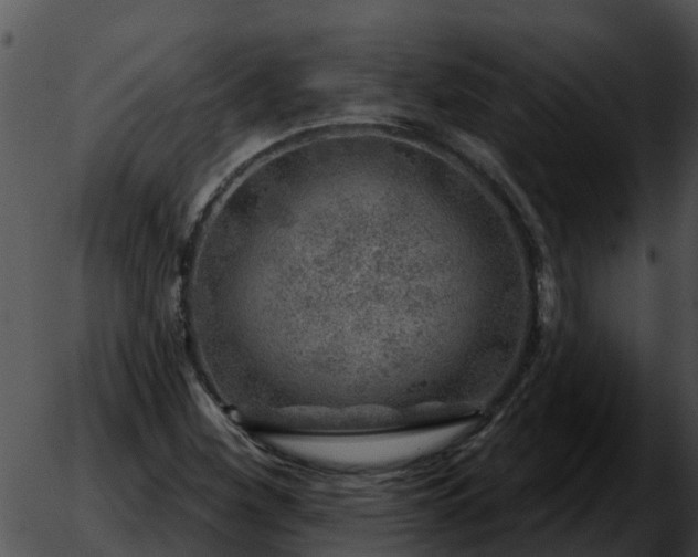 X0000051861260200507012331