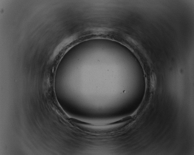 X0000051861261200507012331