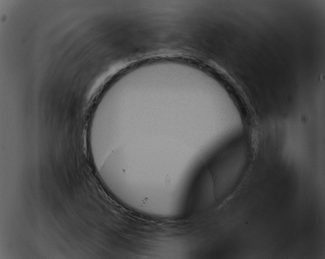 X0000051861262200507012331