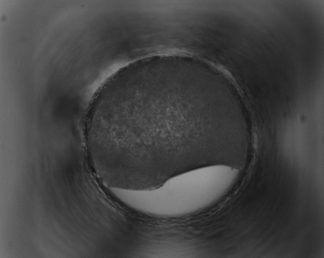 X0000051861263200507012331