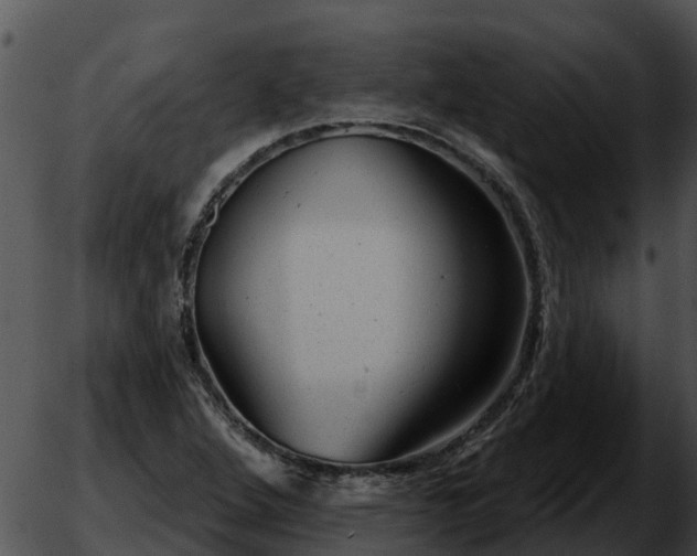 X0000051861264200507012331