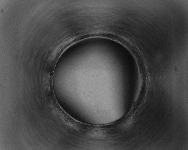 X0000051861265200507012331