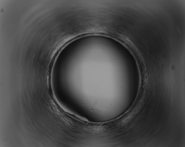 X0000051861268200507012331