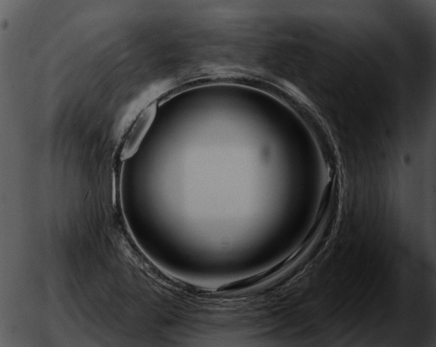 X0000051861269200507012331