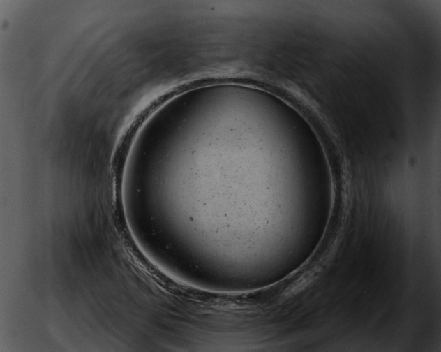 X0000051861270200507012331