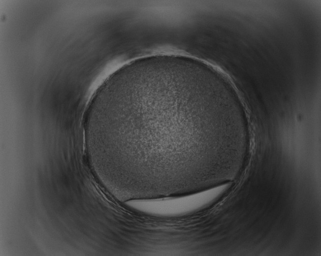 X0000051861271200507012331