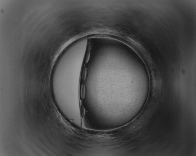 X0000051861272200507012331