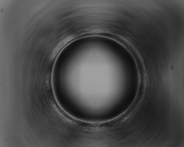 X0000051861273200507012331