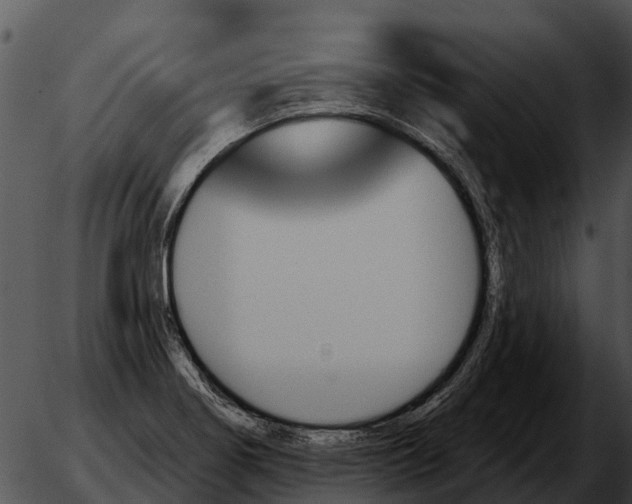 X0000051861274200507012331