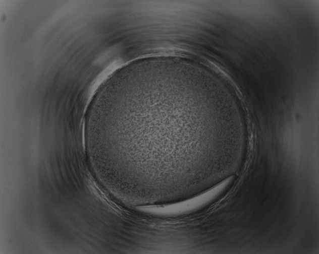 X0000051861275200507012331