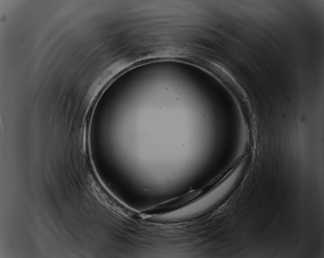 X0000051861276200507012331