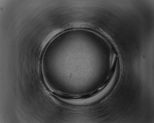 X0000051861277200507012331