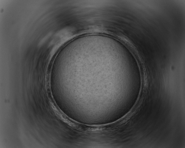 X0000051861278200507012331