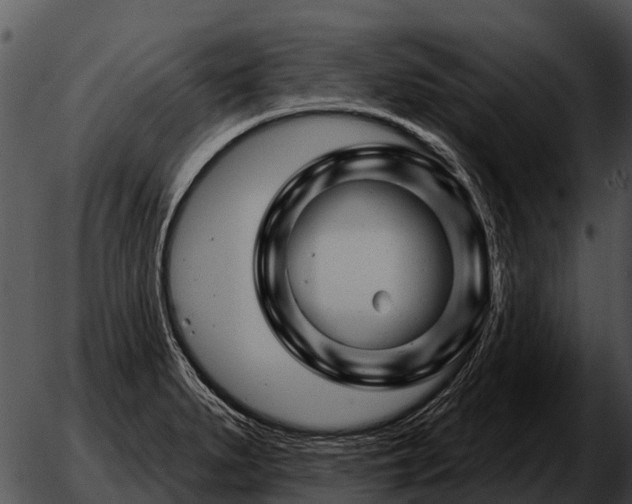 X0000051861279200507012331