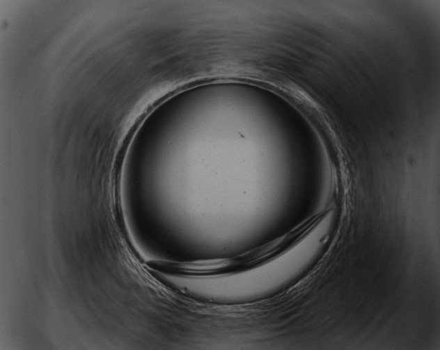 X0000051861280200507012331