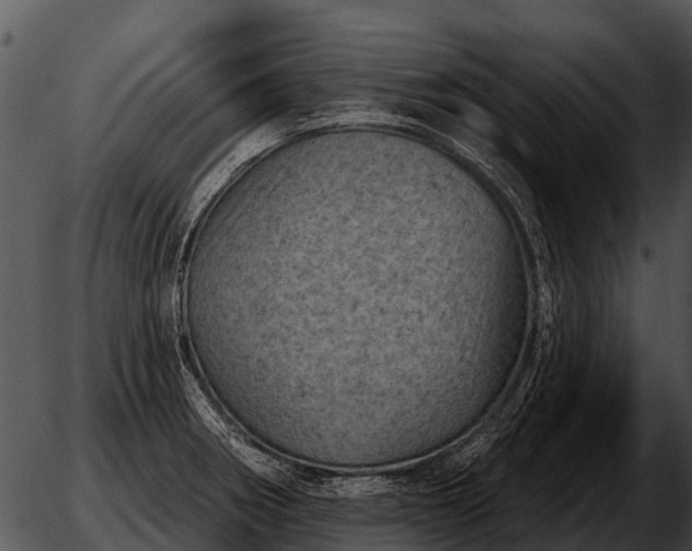 X0000051861282200507012331