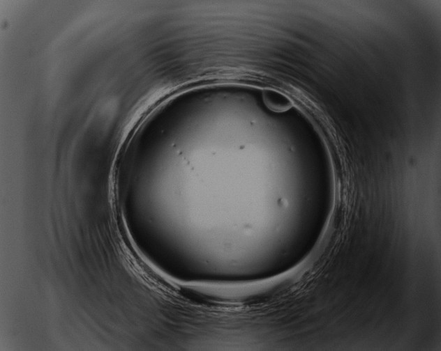 X0000051861283200507012331