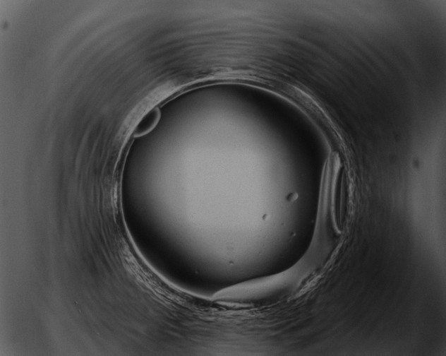 X0000051861284200507012331