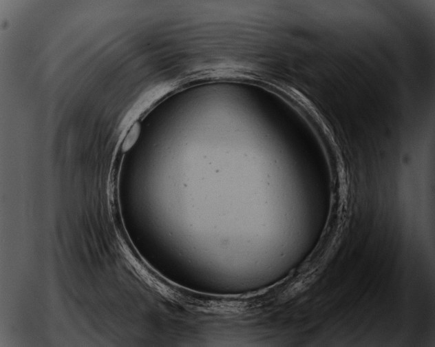 X0000051861285200507012331