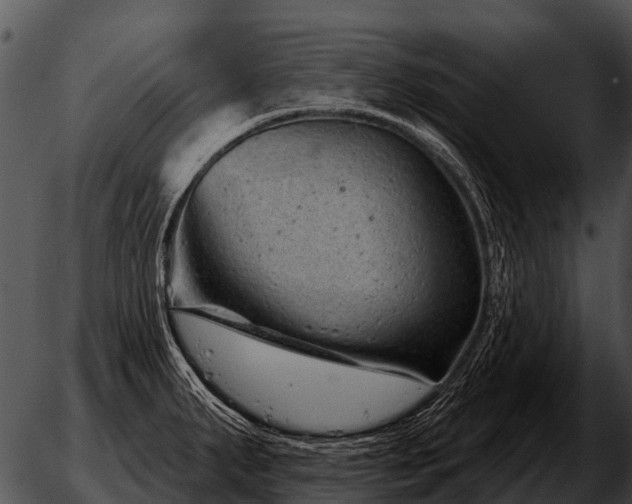 X0000051861287200507012331