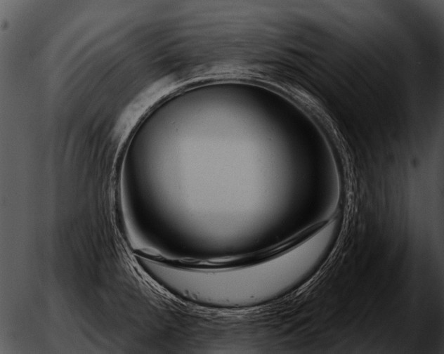 X0000051861288200507012331