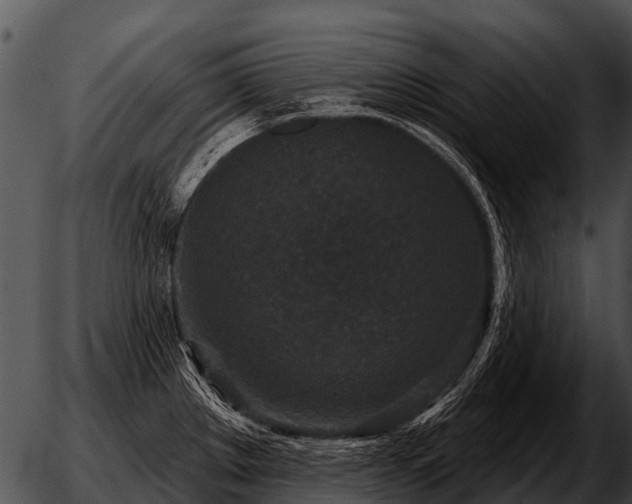 X0000051861289200507012331