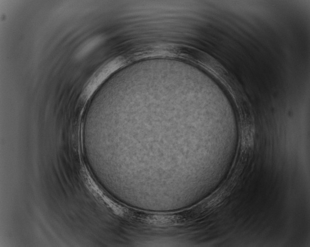 X0000051861290200507012331