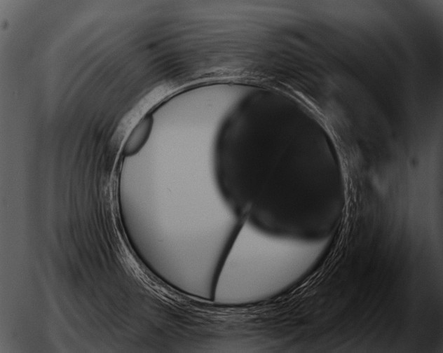 X0000051861291200507012331