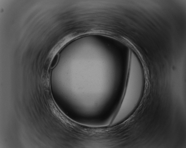 X0000051861292200507012331