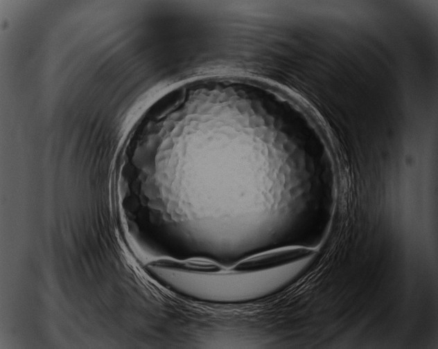 X0000051861295200507012331