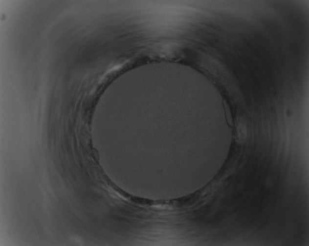 X0000051861297200507012330