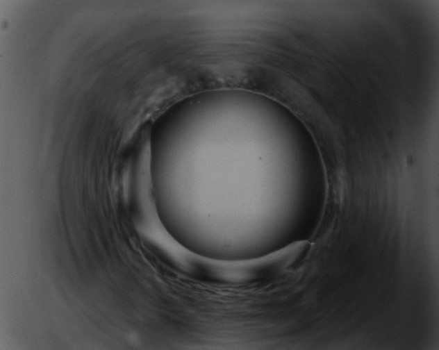 X0000051861298200507012330