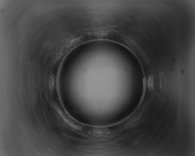 X0000051861299200507012330