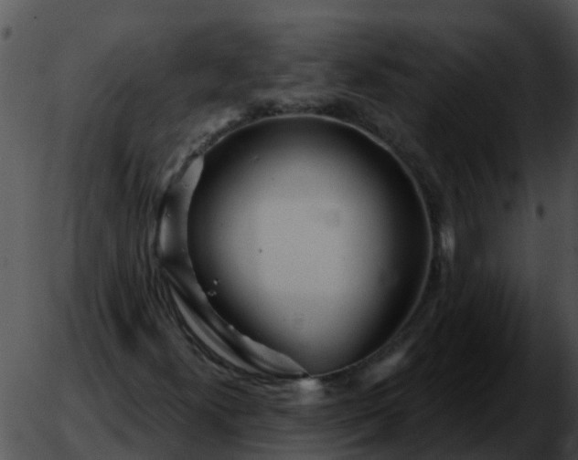 X0000051861300200507012330