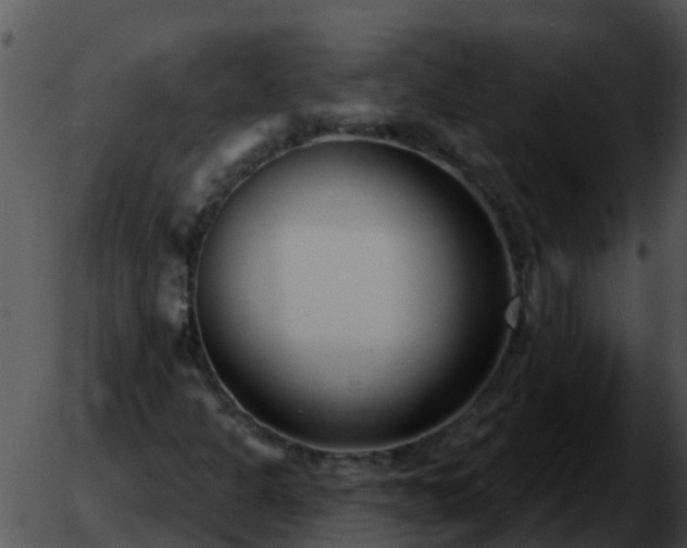 X0000051861301200507012330