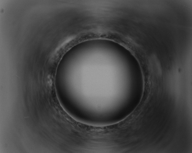 X0000051861302200507012330